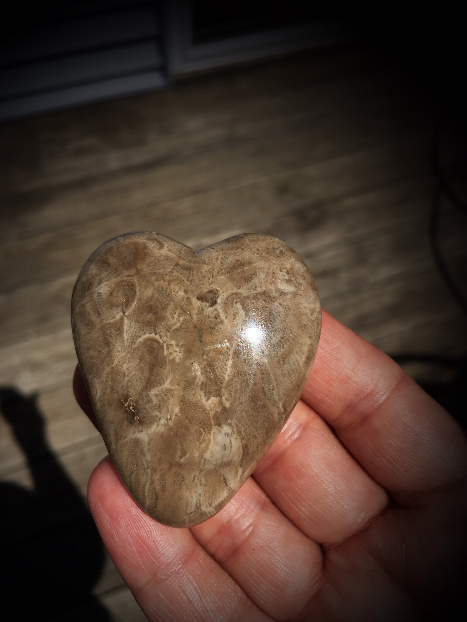 Beautifully Hand Polished Heart Shaped Petoskey Stone