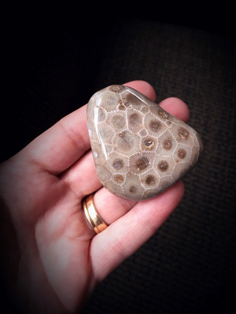 Beautifully Hand Polished Petoskey Stone