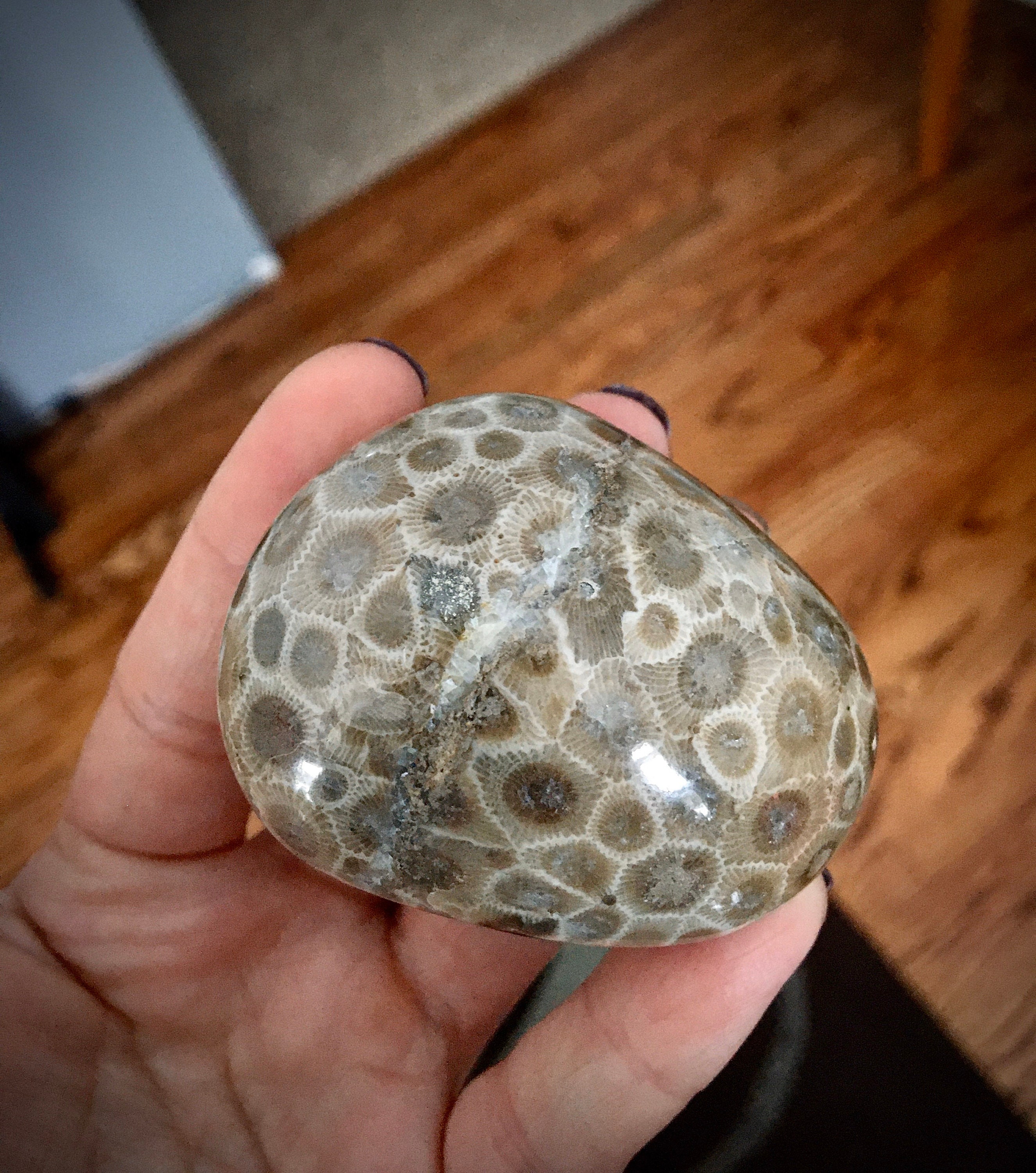 Beautifully Hand Polished Petoskey Stone!!