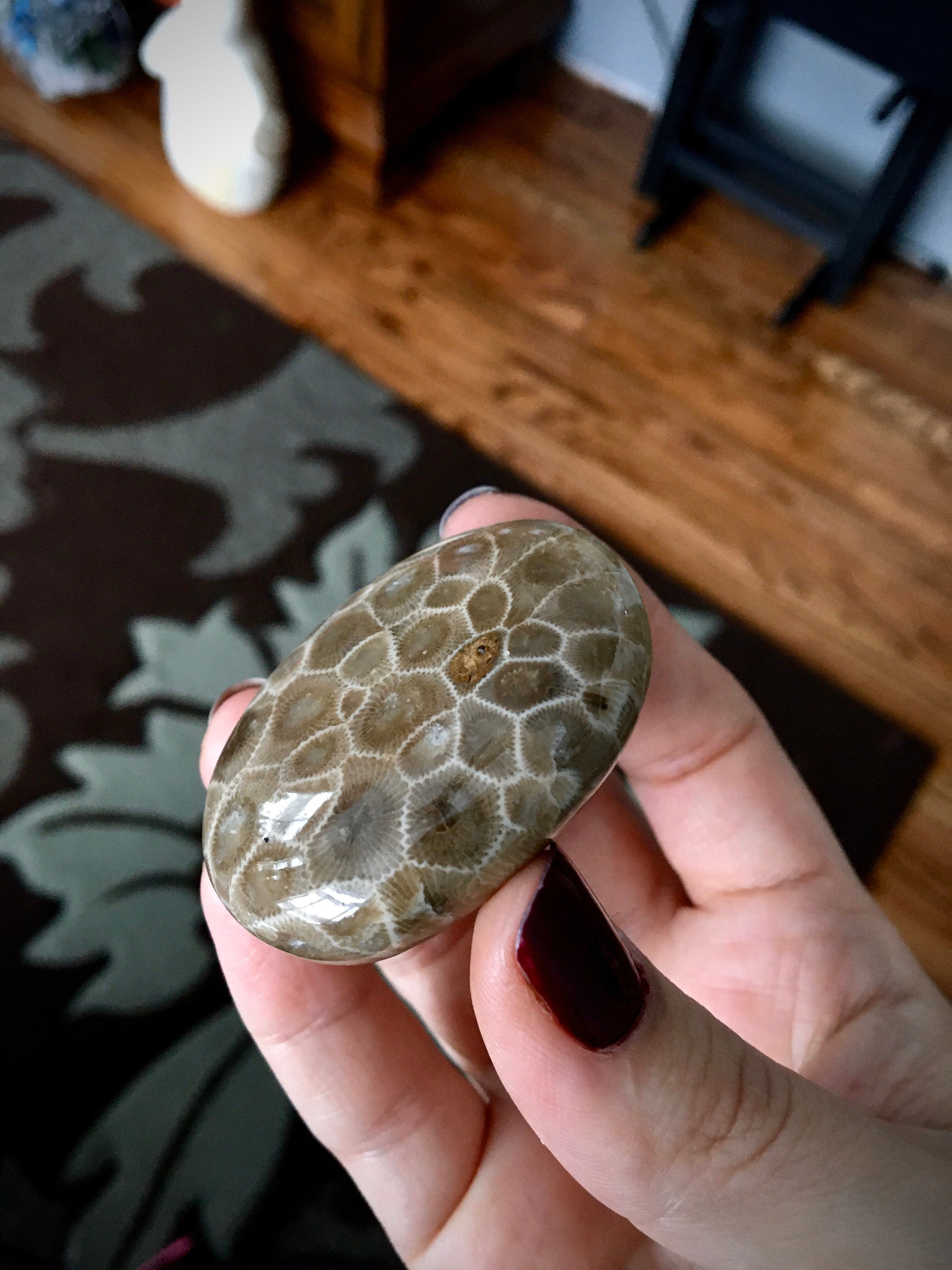 Beautifully Hand Polished Petoskey Stone!!