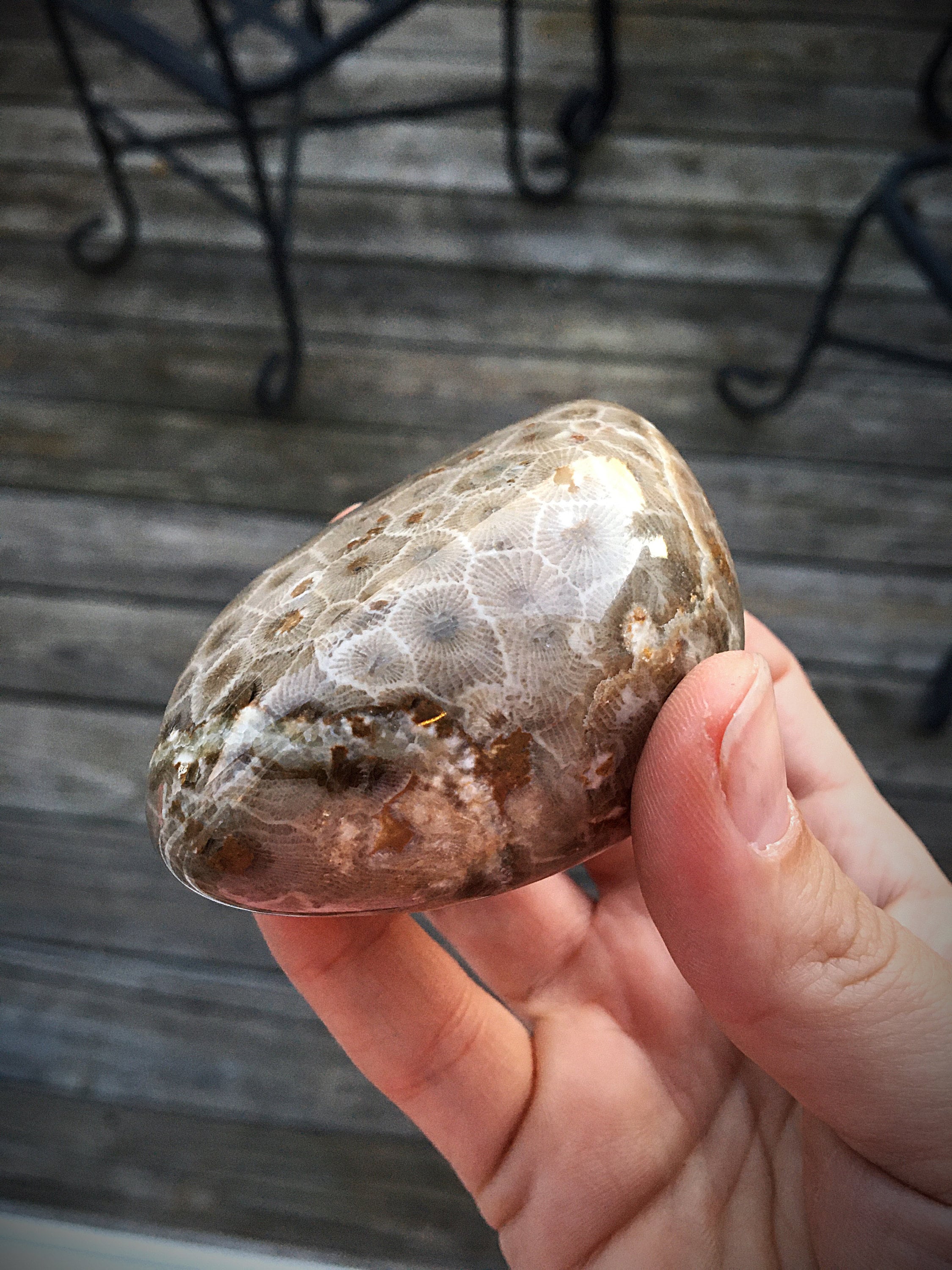 Beautifully Hand Polished Petoskey Stone!!