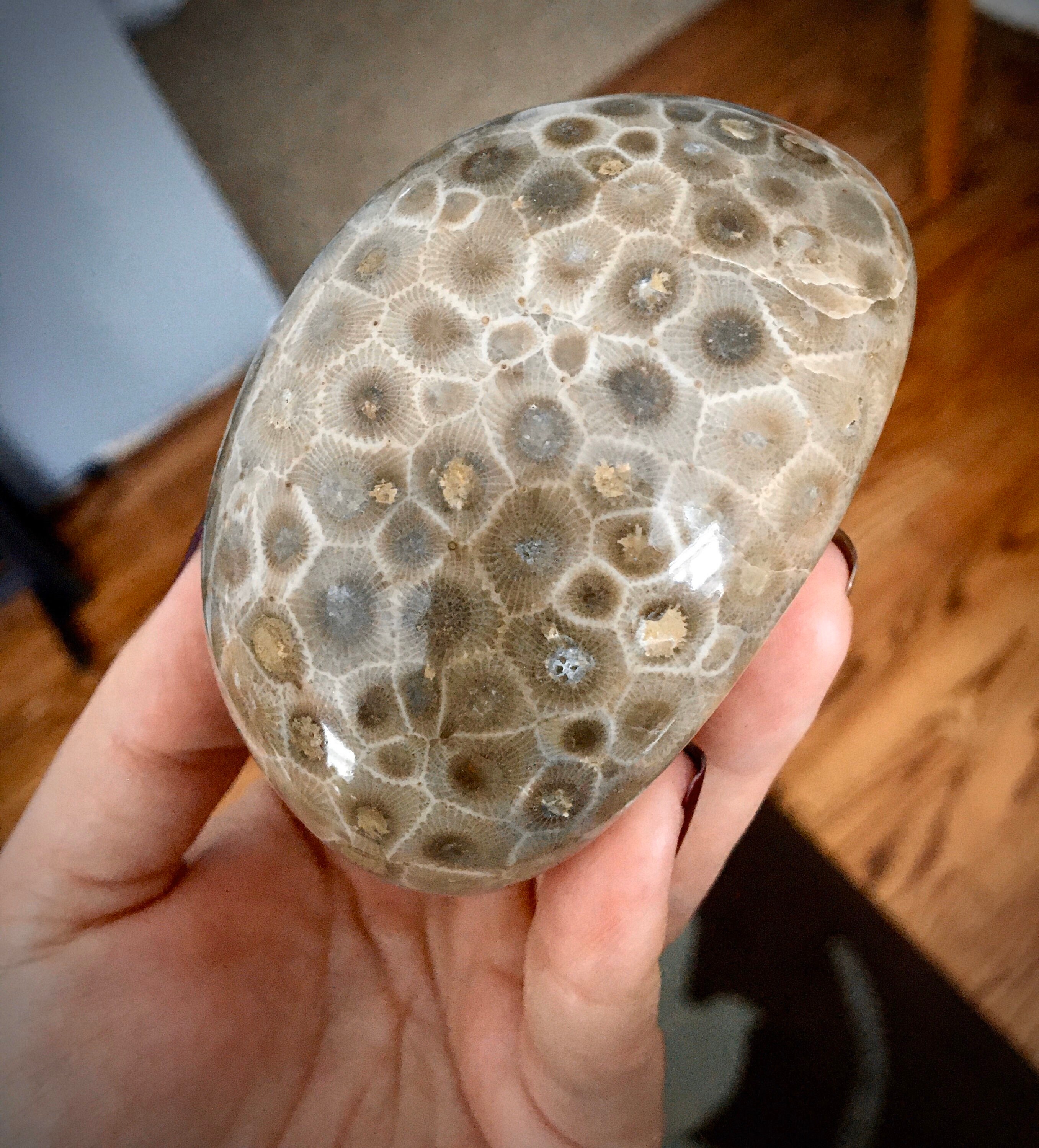 Beautifully Hand Polished Petoskey Stone beautifully-hand-polished-petoskey-stone