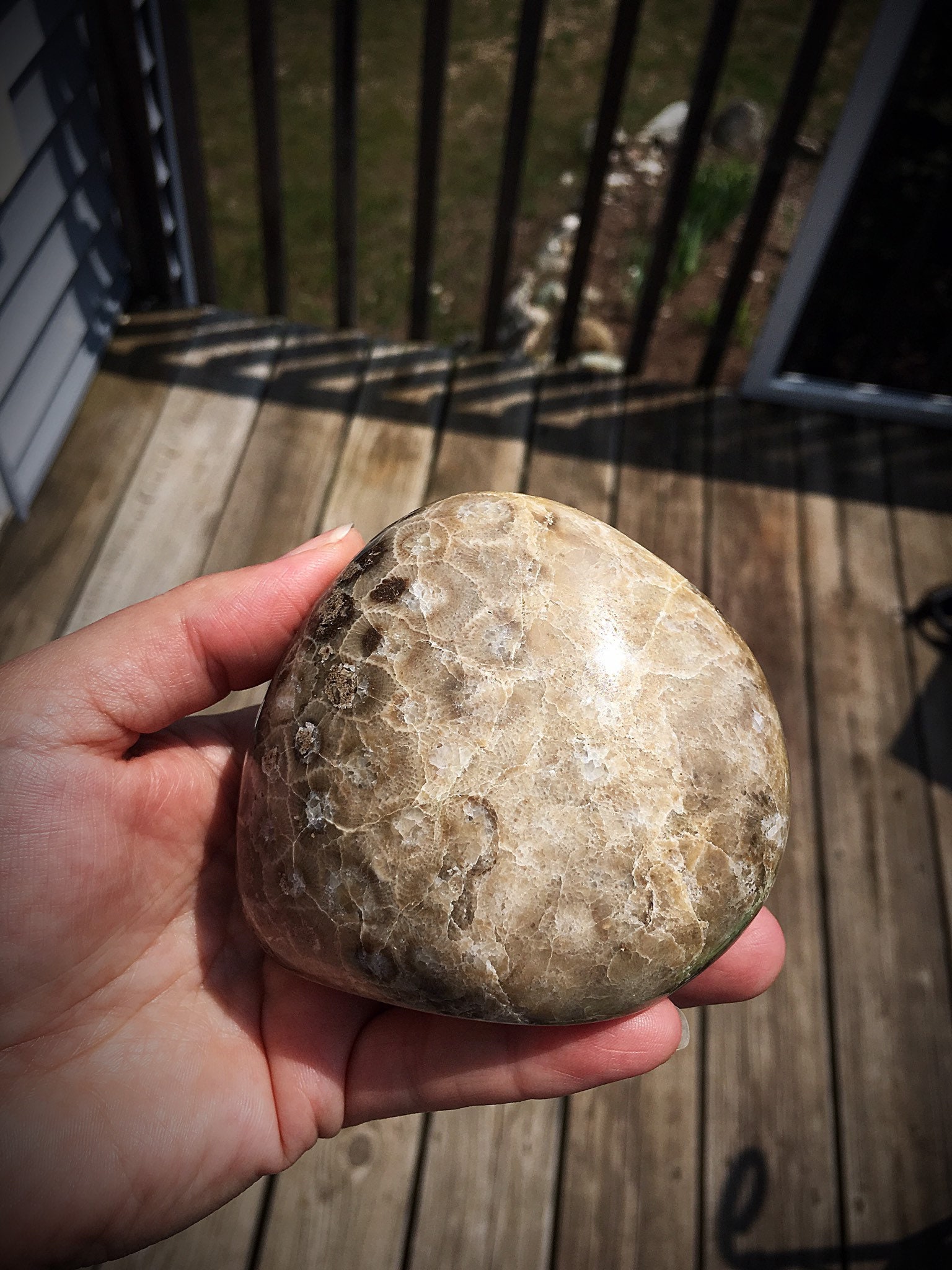 Beautifully Hand Polished Petoskey Stone!!
