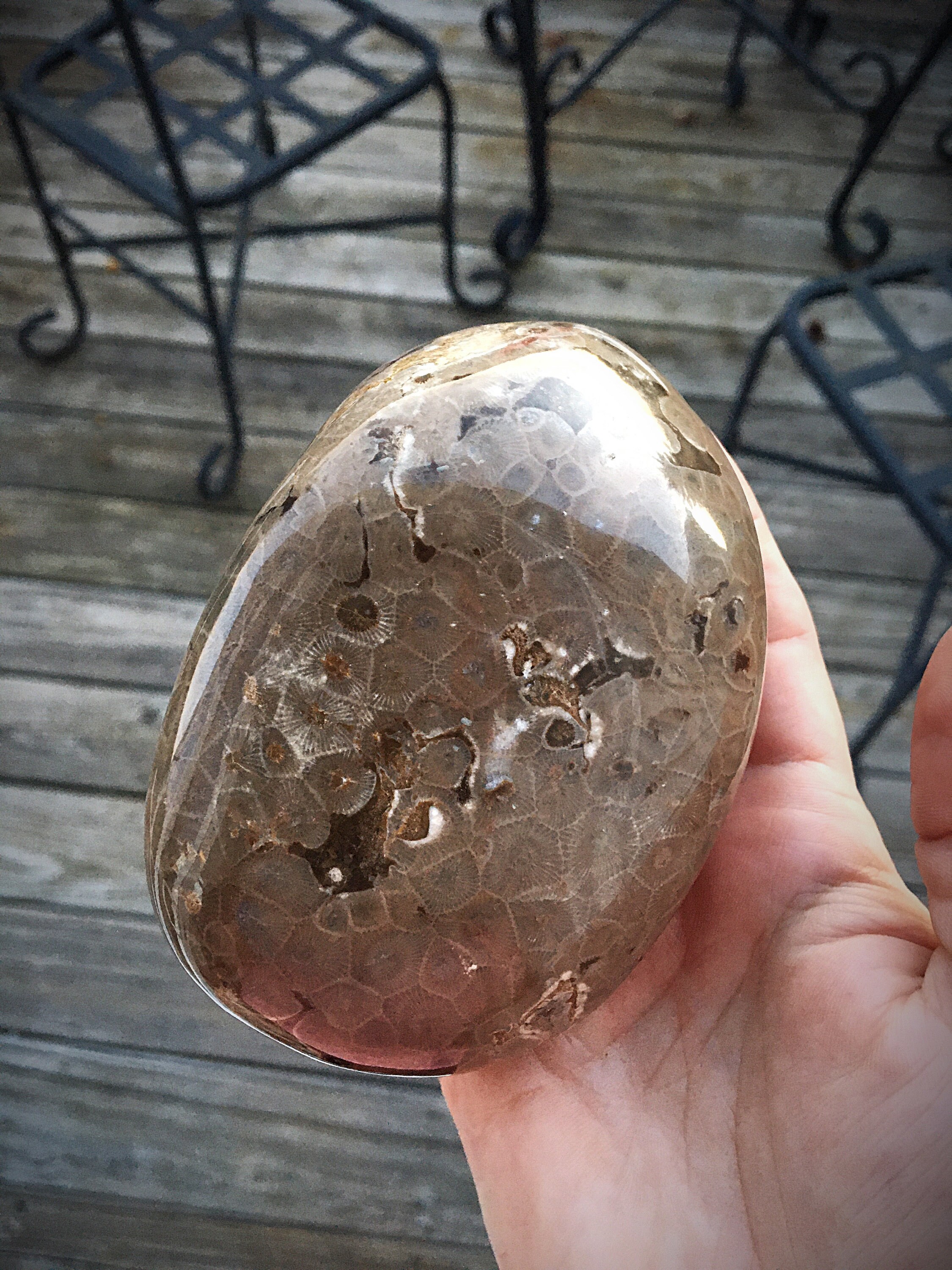 Beautifully Hand Polished Petoskey Stone!!