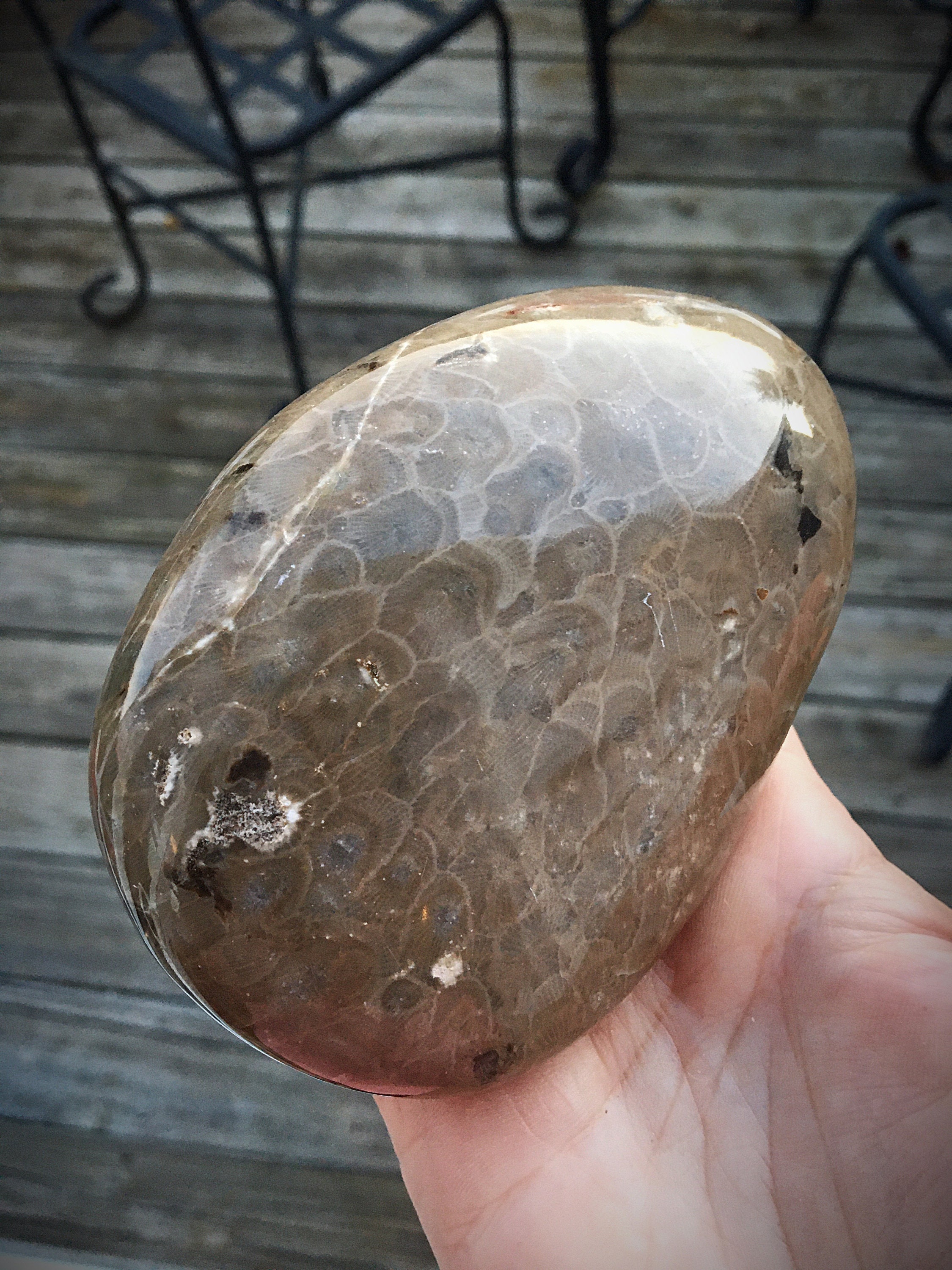 Beautifully Hand Polished Petoskey Stone!!