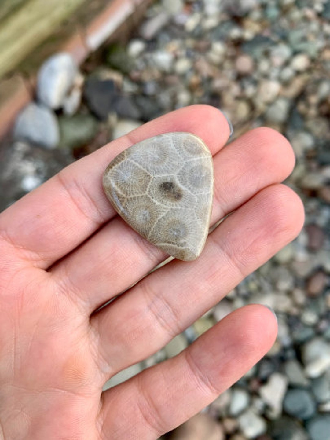 PRE ORDER Novelty Petoskey Stone Guitar Pick Etsy