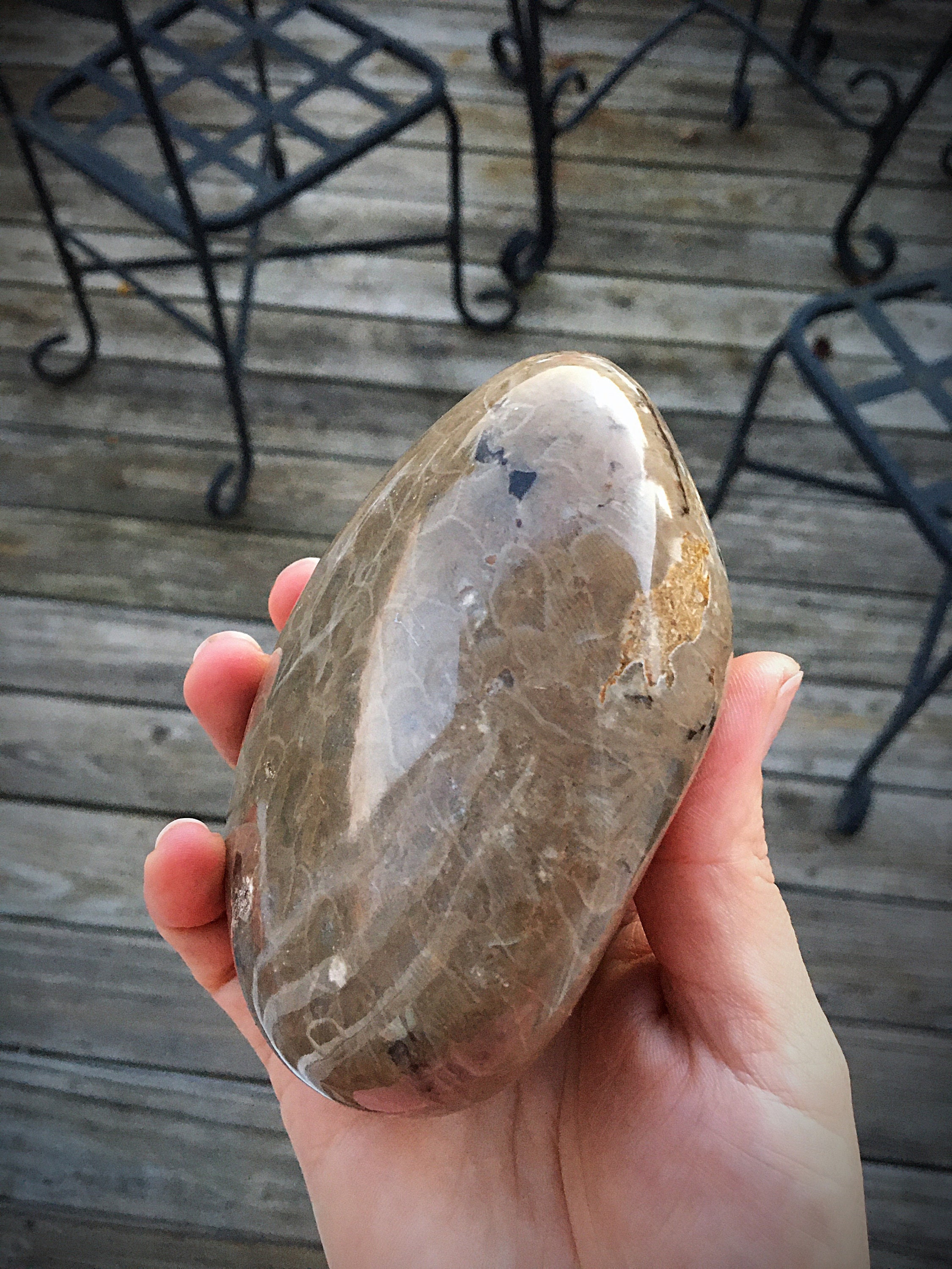 Beautifully Hand Polished Petoskey Stone!!