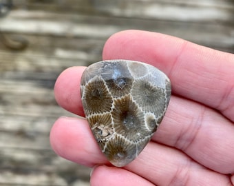 PRE ORDER - Novelty Petoskey Stone Guitar Pick