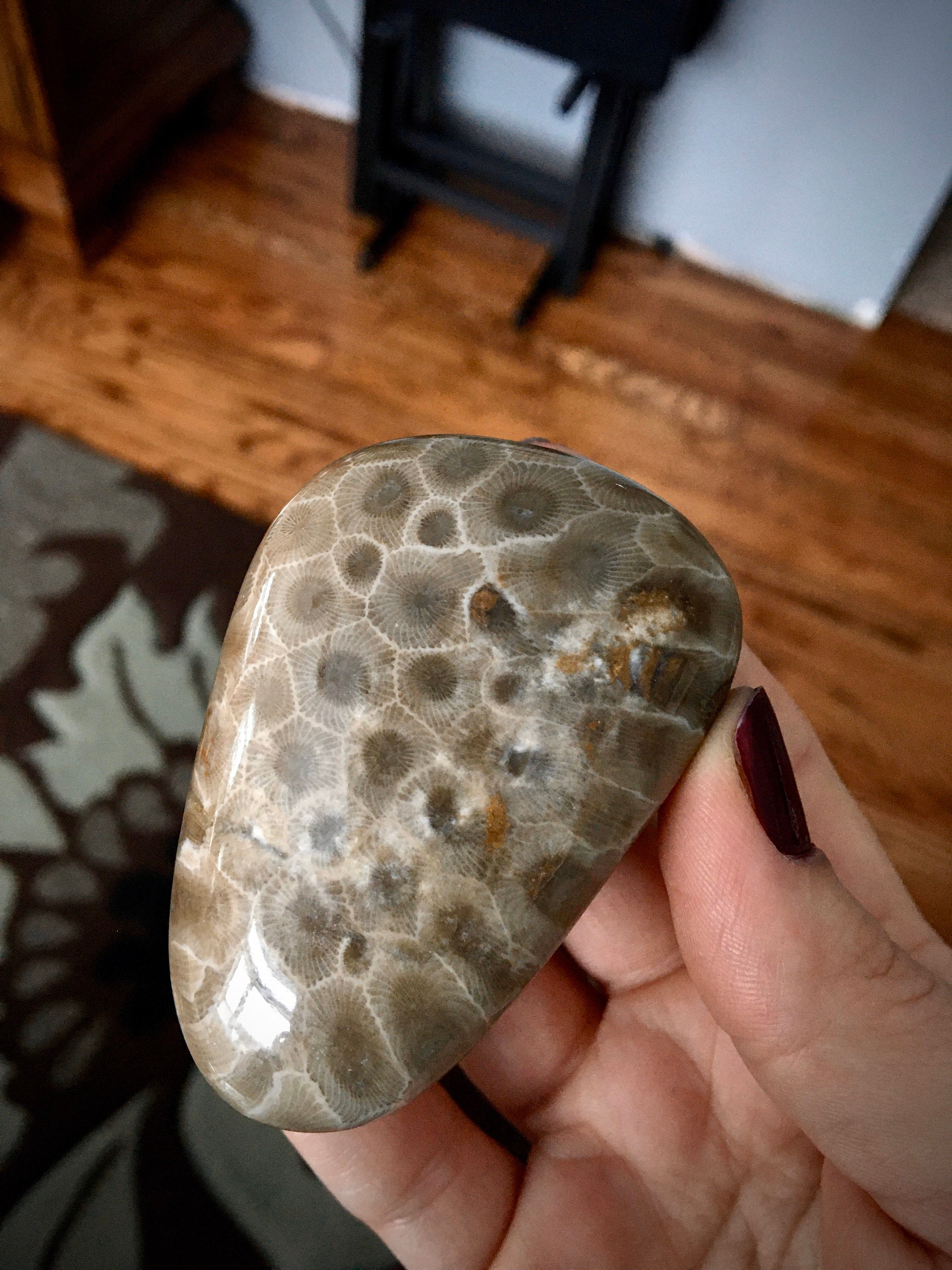 Beautifully Hand Polished Petoskey Stone!!