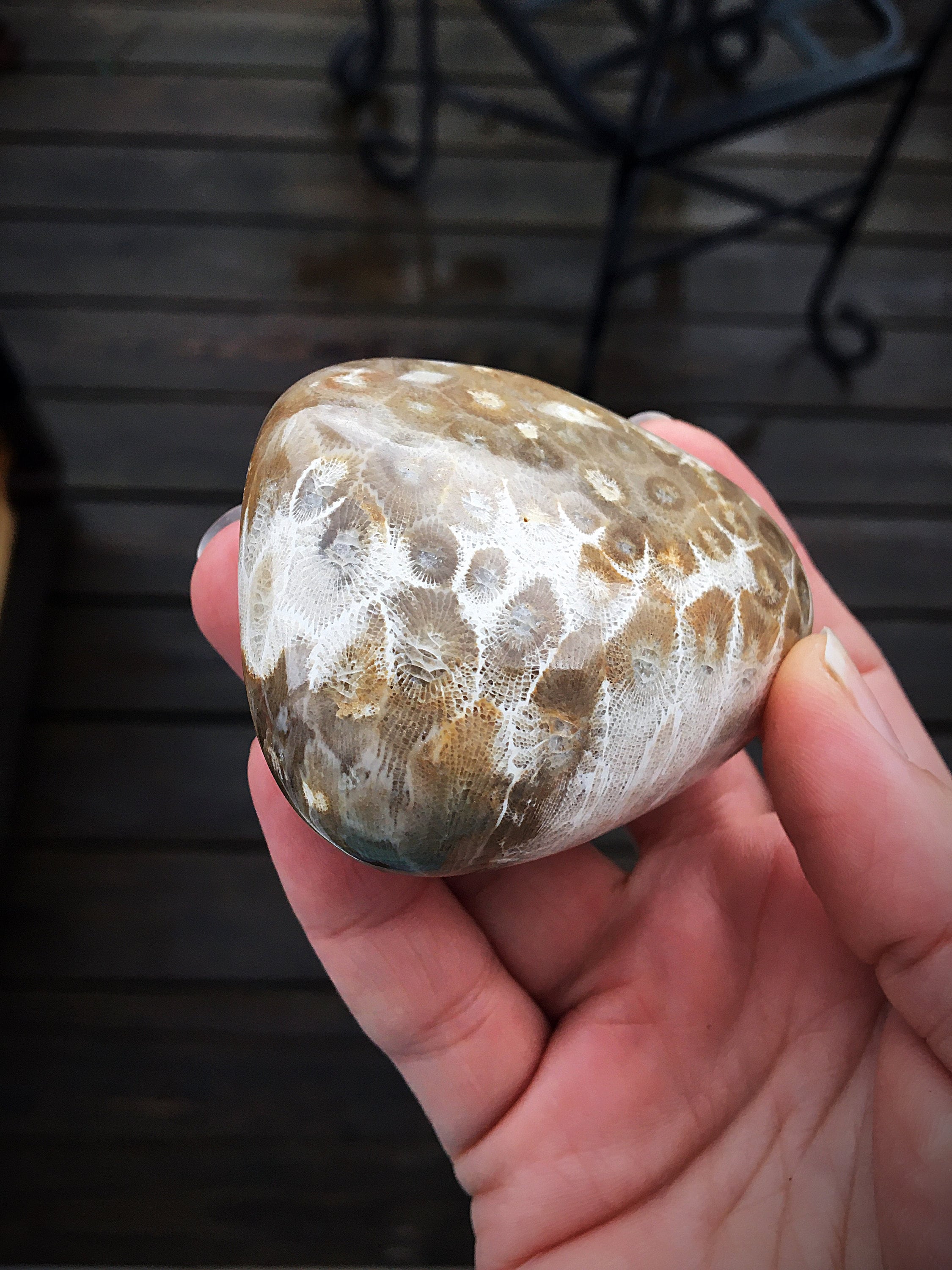 Beautifully Hand Polished Petoskey Stone!!