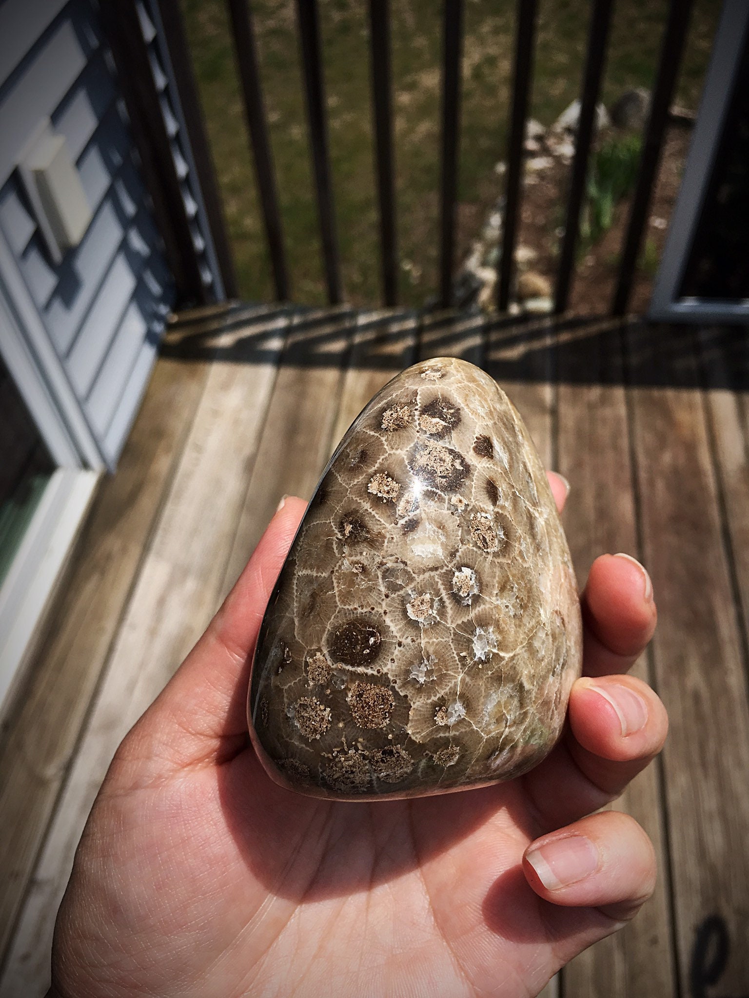 Beautifully Hand Polished Petoskey Stone!!