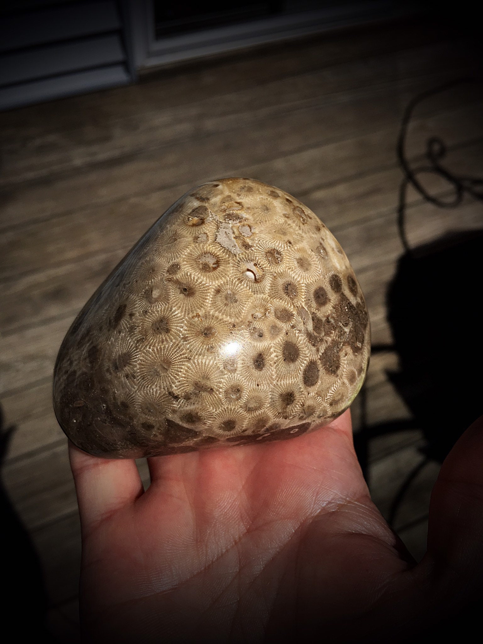 Beautifully Hand Polished Petoskey Stone