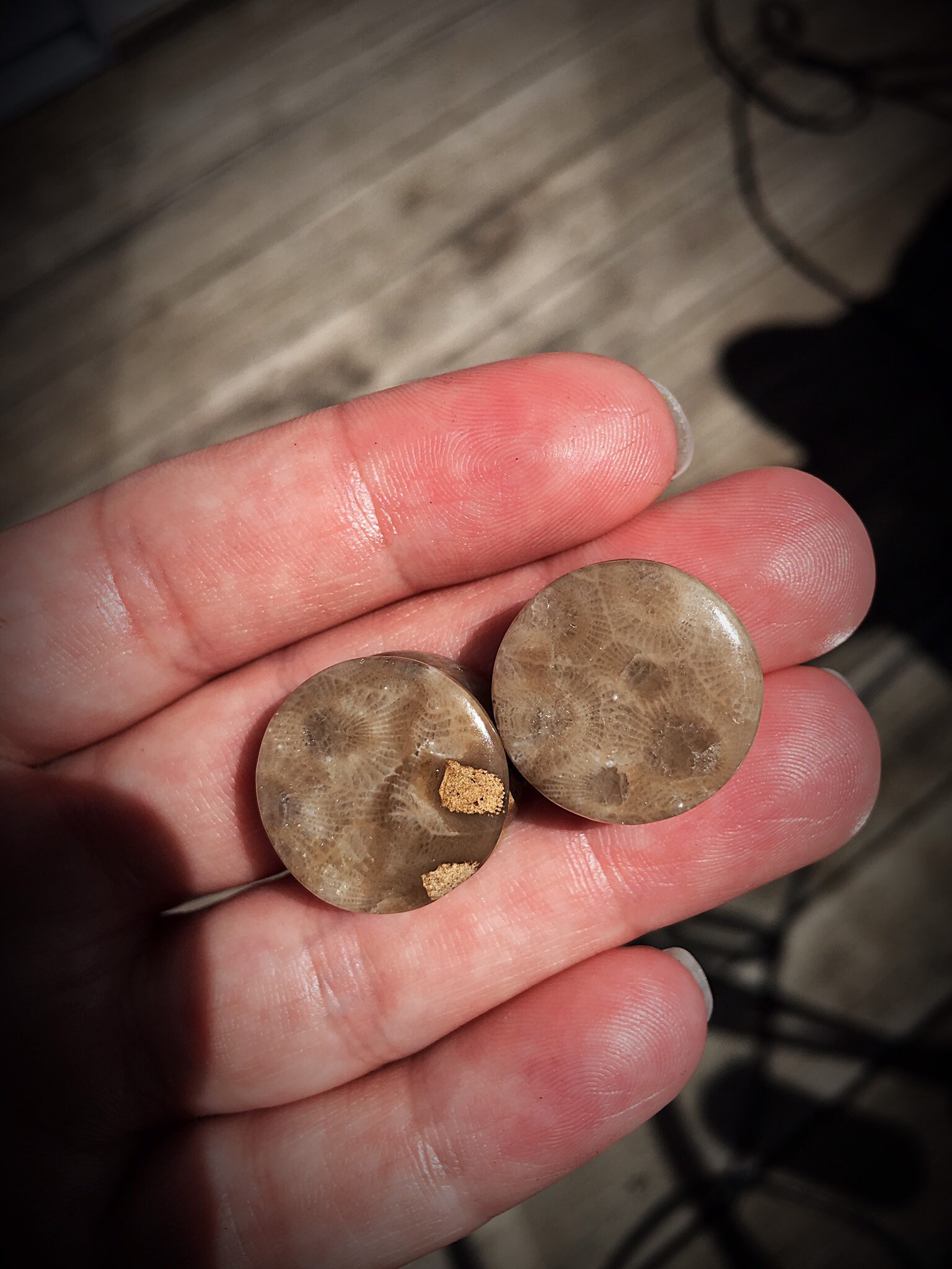 Petoskey Stone Plugs Size 11/16
