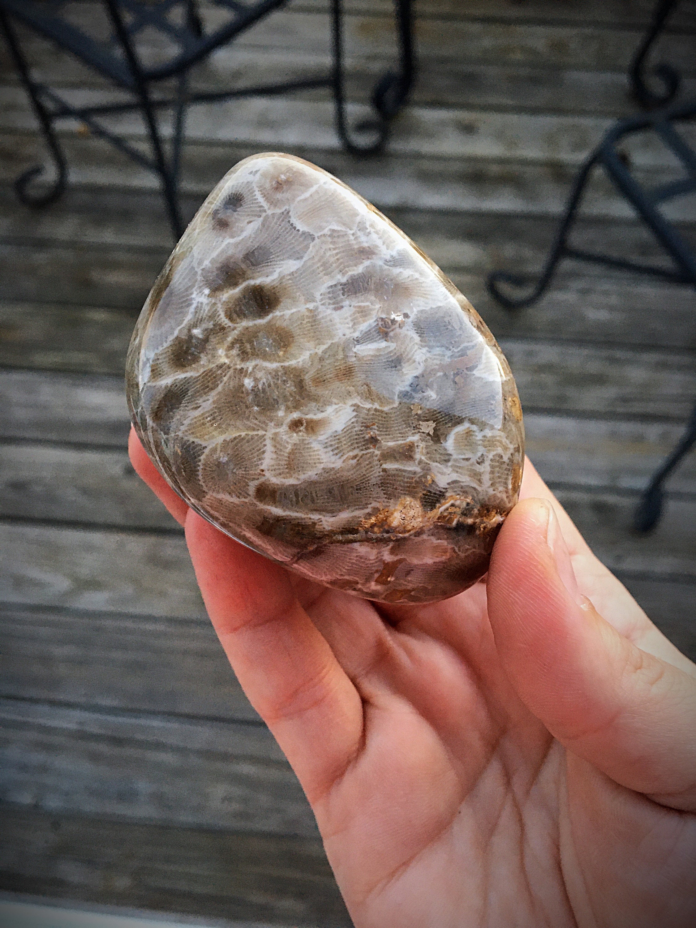 Beautifully Hand Polished Petoskey Stone!!