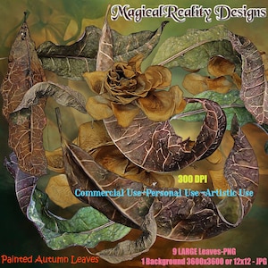 Peint de feuilles - les feuilles des cliparts - PNG fichiers - Scrapbooking Digital - superpositions - feuille superpositions - magique - automne - feuille d’automne - PNG