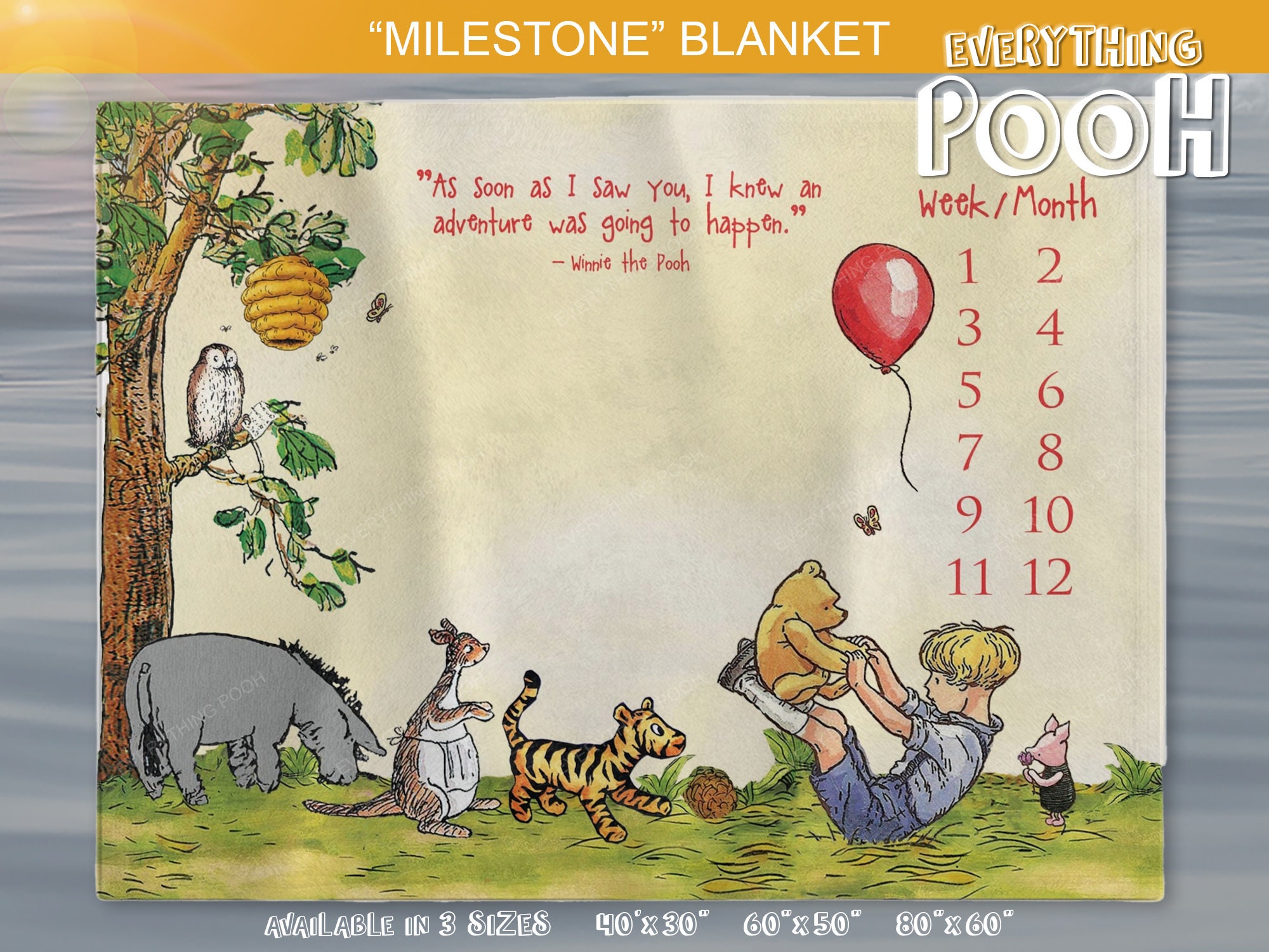 Winnie the Pooh MILESTONE BLANKET FRIENDS Yellow Classic Pooh Quote as Soon as Newborn Baby Shower Gift Girl Boy Twins New Mom Etsy
