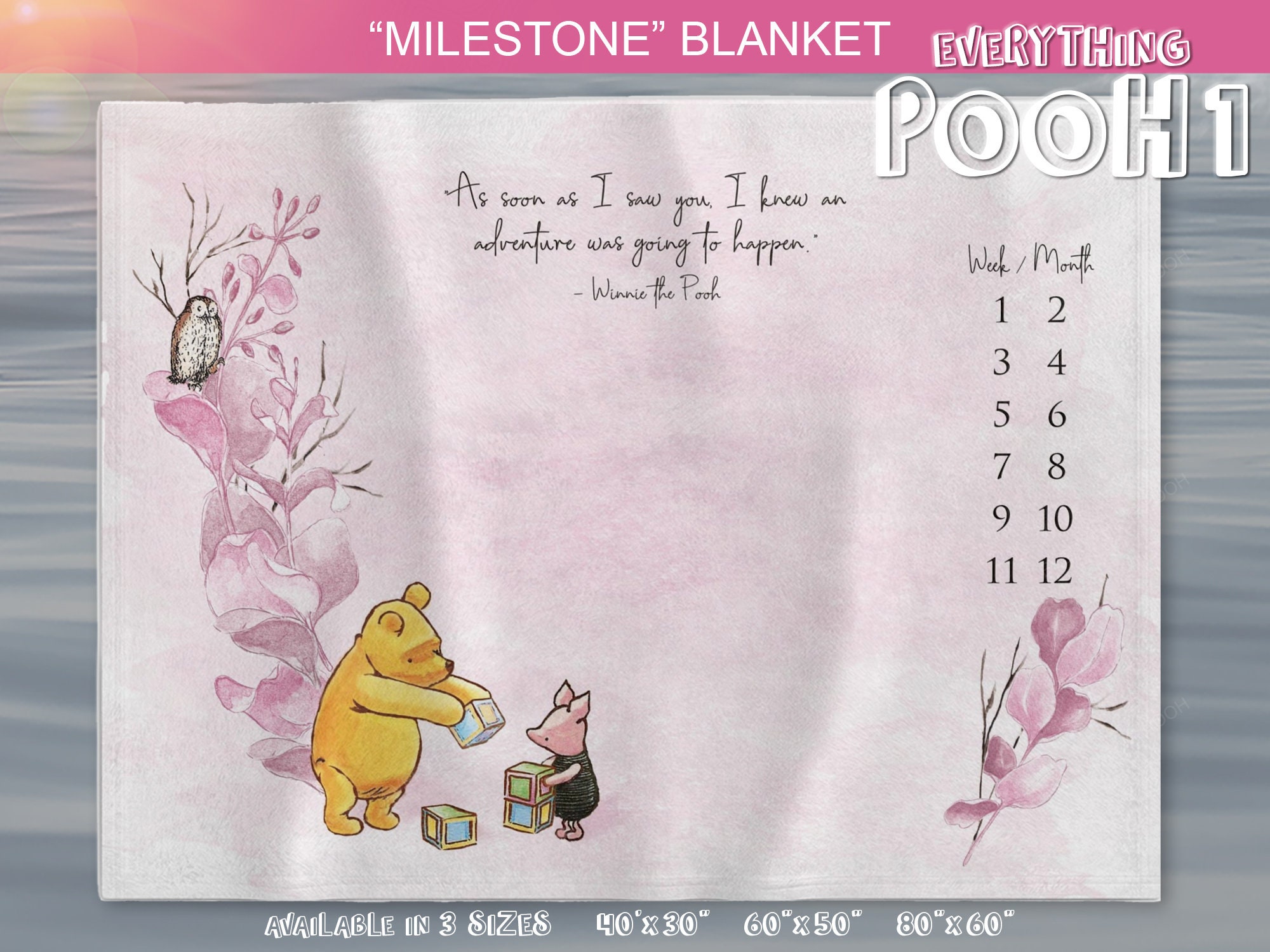 Baby Boy Winnie The Pooh Baby Month Blanket Winnie The Pooh