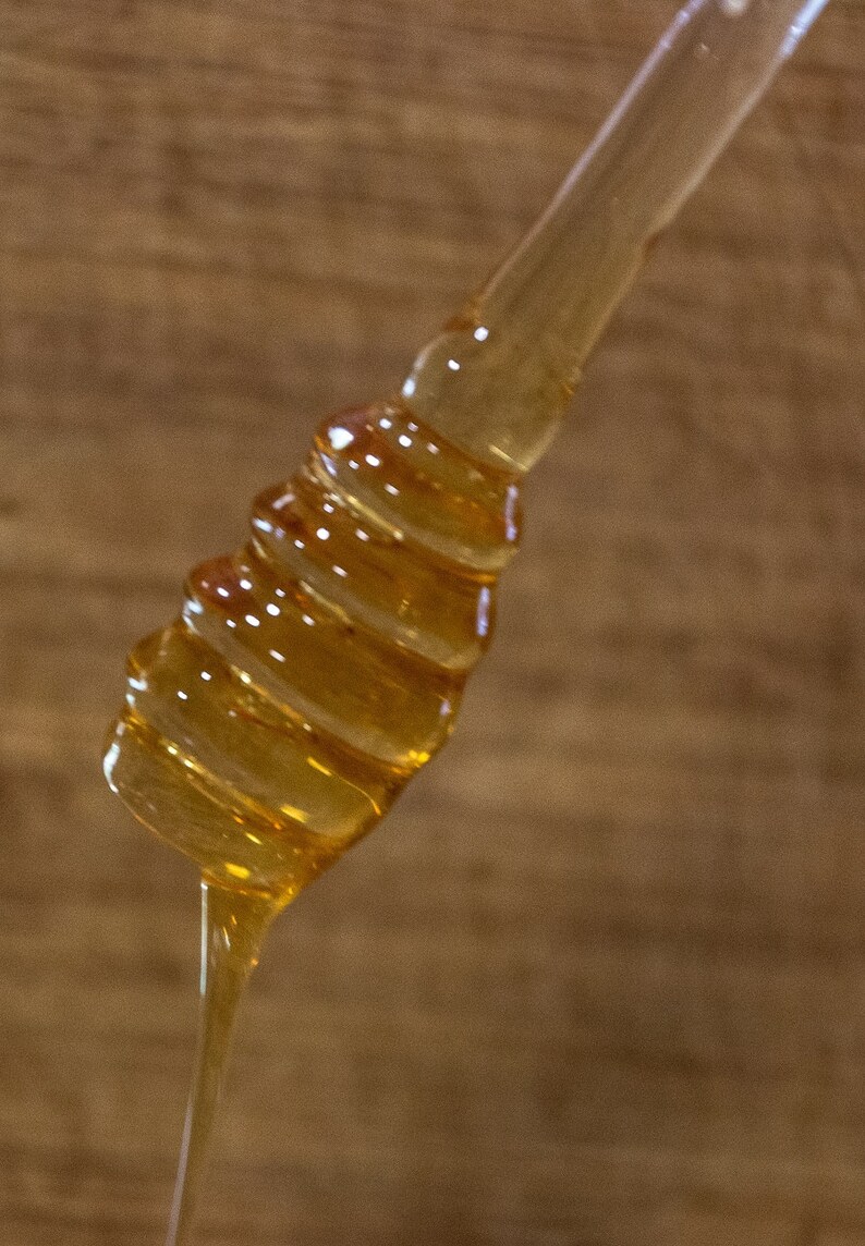 Dipper Unique Handcrafted Glass Honey Dipper – Unique & Elegant Honey Server for Your ...