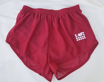 Vintage 80s NEW BALANCE Rose Red Striped Nylon Running Gym Shorts Sheer Deadstock Made in Canada / Lined Brief / Velvet Logo Unisex Stretchy