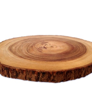 Op de afbeelding: Een ronde houten schijf met een natuurlijke bastrand. Het hout heeft een lichtbruine kleur met donkerbruine ringen.
