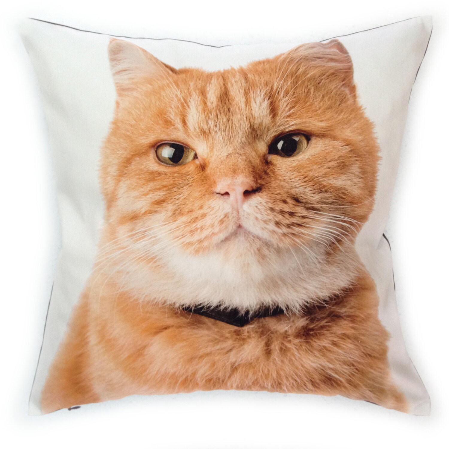 etsy cat pillow