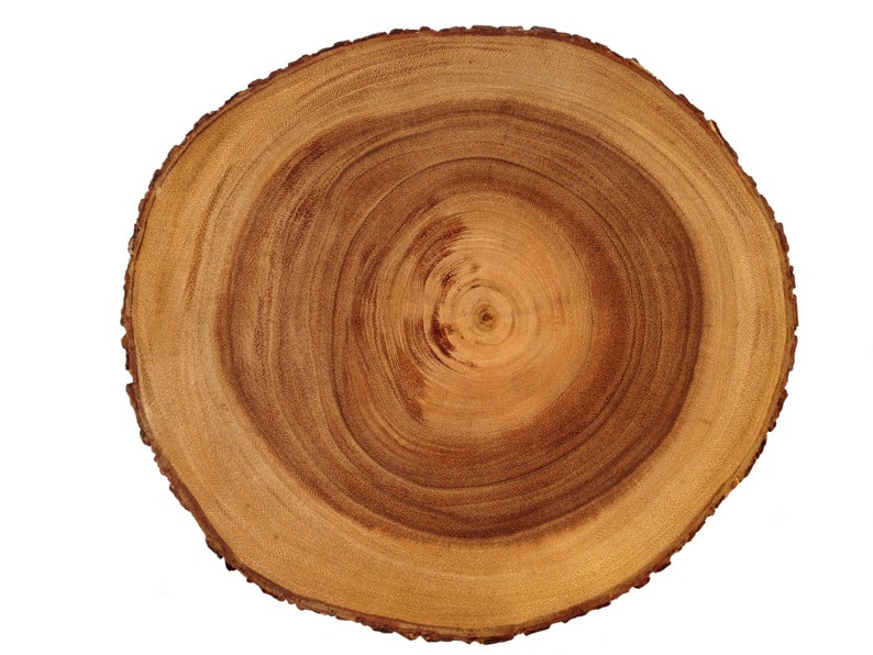 Rustic Cutting Board Tree Cutting Board Wood Cutting Board Etsy UK