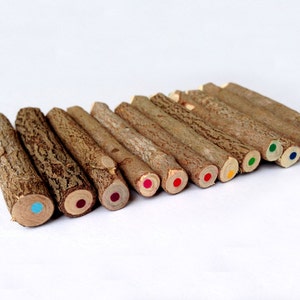 Twig Pencils Colored Pencils Wood Pencils Color Pencils Rustic Pencils Gift Set Tree Branch Pencils Funny Pencils Woodland Baby Shower image 4