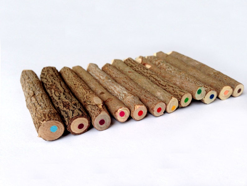 Twig Pencils Colored Pencils Wood Pencils Color Pencils Rustic Pencils Gift Set Tree Branch Pencils Funny Pencils Woodland Baby Shower image 4