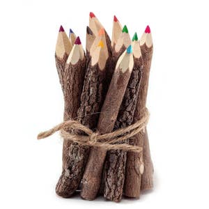 Twig Pencils Colored Pencils Wood Pencils Color Pencils Rustic Pencils Gift Set Tree Branch Pencils Funny Pencils Woodland Baby Shower image 1