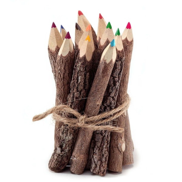 Rustic Twig Colored Pencils Set of 12, Twig Pencils, Wood Pencils, Rustic Pencils Gift Set, Tree Branch Pencils, Wedding Pencils Fun Drawing