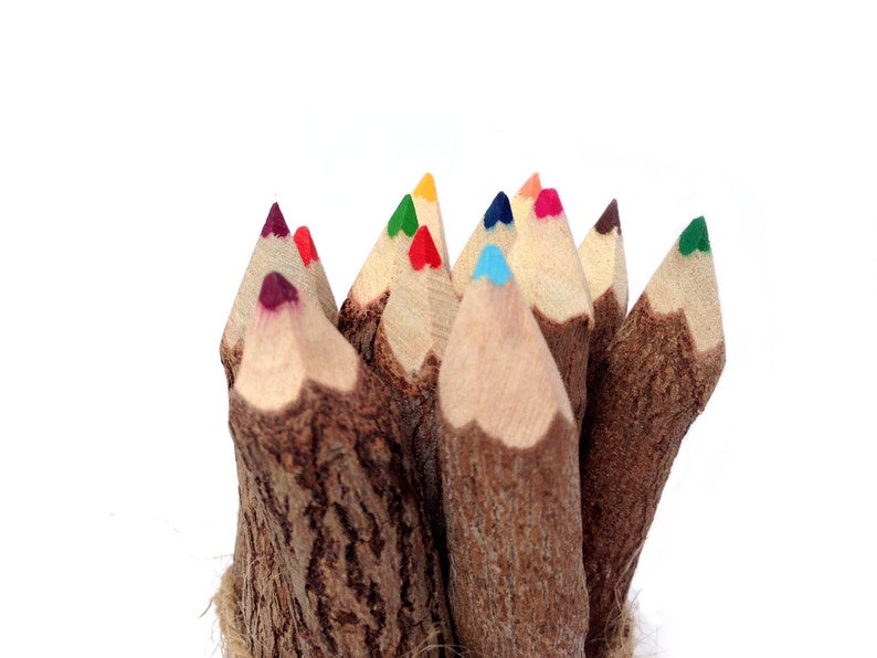 Twig Pencils Colored Pencils Wood Pencils Color Pencils Rustic Etsy