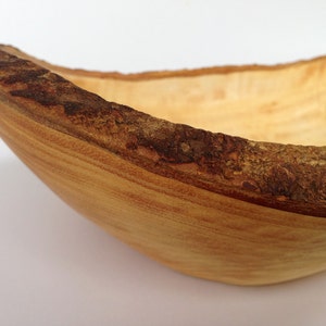 May include: A wooden bowl with a natural bark edge. The bowl is light brown and has a smooth, rounded interior.
