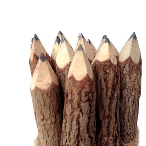 Wood Pencils Rustic Twig Pencils Set Graphite Pencils Rustic Pencils Gift Set Tree Branch Pencils Wedding Pencils Woodland Baby Shower image 2