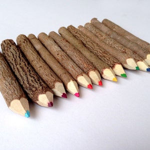 Twig Pencils Colored Pencils Wood Pencils Color Pencils Rustic Pencils Gift Set Tree Branch Pencils Funny Pencils Woodland Baby Shower image 5