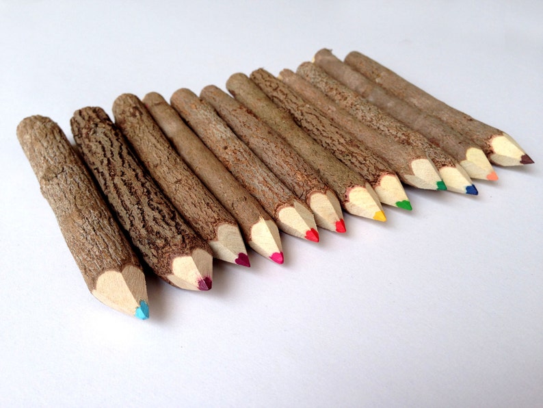 Twig Pencils Colored Pencils Wood Pencils Color Pencils Rustic Pencils Gift Set Tree Branch Pencils Funny Pencils Woodland Baby Shower image 5