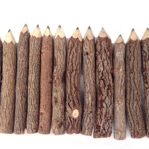 Pode incluir: Uma cole&ccedil;&atilde;o de 16 l&aacute;pis de madeira natural com pontas afiadas. Os l&aacute;pis est&atilde;o dispostos em uma fila, em p&eacute; sobre uma superf&iacute;cie branca.