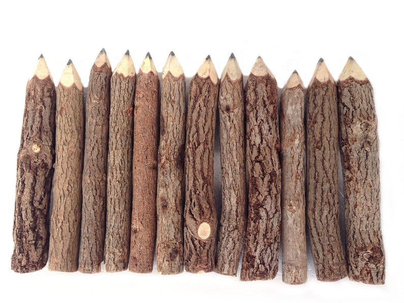 Wood Pencils Rustic Twig Pencils Set Graphite Pencils Rustic Pencils Gift Set Tree Branch Pencils Wedding Pencils Woodland Baby Shower image 3