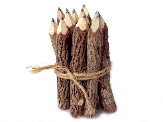 Rustic Twig Graphite Pencils Set of 12, Twig Pencils, Wood Pencils, Rustic Pencils Gift Set, Tree Branch Pencils, Wedding Pencil fun drawing