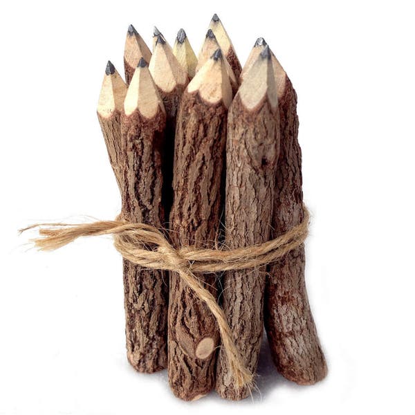 Crayons en bois Crayons à brindilles rustiques Ensemble Crayons graphite Crayons rustiques Coffret cadeau Branche d’arbre Crayons de mariage Crayons de mariage Woodland Baby Shower