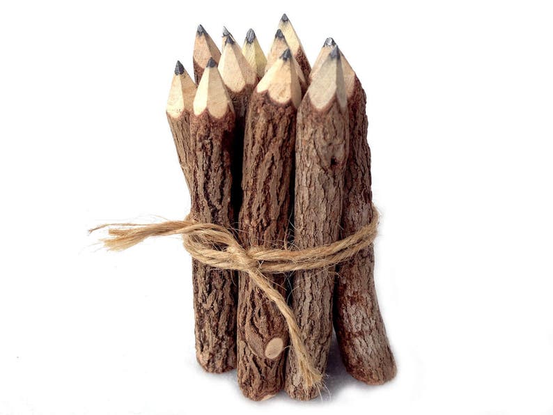 Wood Pencils Rustic Twig Pencils Set Graphite Pencils Rustic Pencils Gift Set Tree Branch Pencils Wedding Pencils Woodland Baby Shower image 1