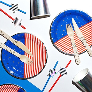 Fourth of July Paper Party Plates - 7&quot; Wide - Set of 8 - Stars and Stripes - Red and Blue - 4th of July - America - USA - Independence Day