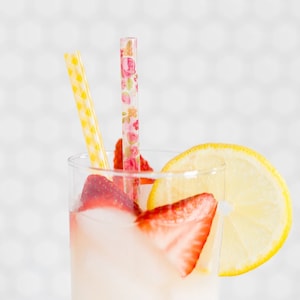 Gingham Floral Reusable Party Straws - 12 Pack - Floral Print Straws - Floral Theme Party - Wedding Straws - Garden Party - Bridal Shower