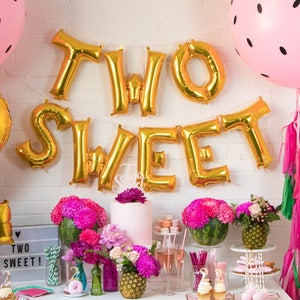 Two Sweet Balloon Banner - Two-tti Fruity Theme Decor - Watermelon Theme Decor - 2nd Birthday Decor - Two Cute - Two Cool - Foil Balloon