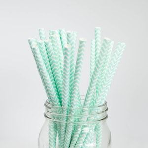 Blauwe en witte Chevron rietjes-Party Decor-Boy&#39;s Birthday Party-Boy&#39;s baby shower-het is een jongen decor-cake pop sticks-tafelgerei
