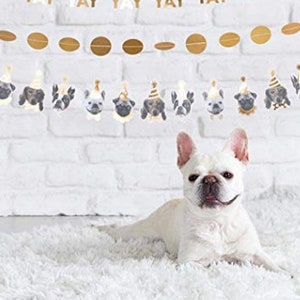 May include: A white dog with brown spots sits in front of a white brick wall with a gold and white banner that says "yay" multiple times. The banner has small dog faces and gold circles.