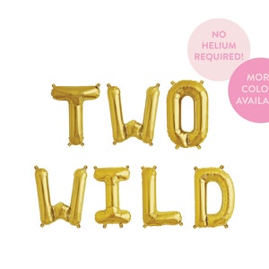 May include: Gold foil balloons spelling out "TWO WILD" with the text "NO HELIUM REQUIRED!" and "MORE COLORS AVAILABLE" in pink circles.