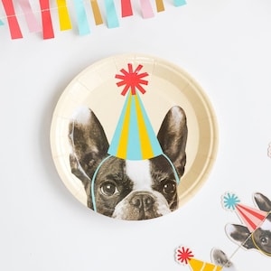 K&ouml;nnte beinhalten: Ein wei&szlig;er Pappteller mit einem Cartoon-Bild eines franz&ouml;sischen Bulldoggen, der einen blauen, gelben und roten Partyhut tr&auml;gt. Die Augen des Hundes sind braun und die Nase ist schwarz.
