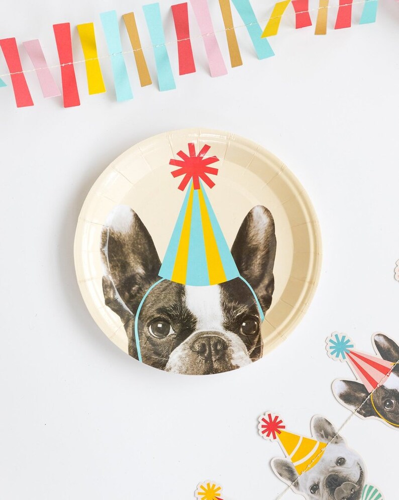 K&ouml;nnte beinhalten: Ein wei&szlig;er Pappteller mit einem Cartoon-Bild eines franz&ouml;sischen Bulldoggen, der einen blauen, gelben und roten Partyhut tr&auml;gt. Die Augen des Hundes sind braun und die Nase ist schwarz.
