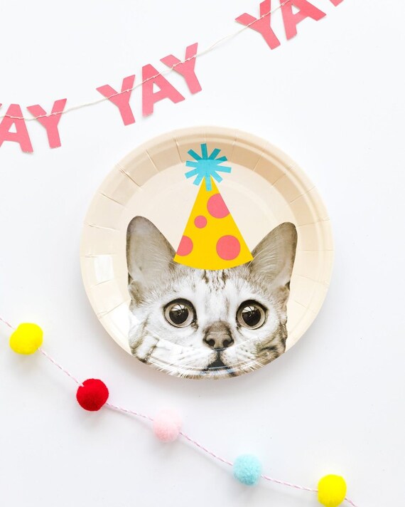 Decoración Fiesta Cumpleaños Temática Gatos - Set De 12 Cajas De Palomitas, Colores Brillantes, Para Niños