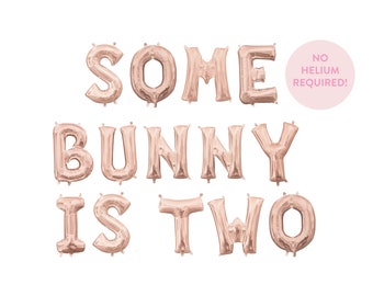 Some Bunny is Two Balloon Banner - Some Bunny Theme - Easter Birthday - Bunny Smash Cake Decor - Smash Cake Photo - Custom Bunny Balloons